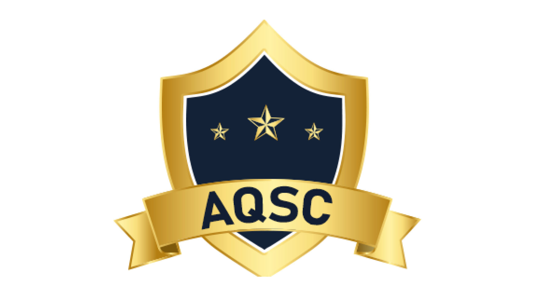 Home 19 CMMI Certification logo2